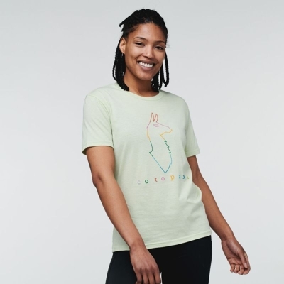 Cotopaxi - Color Outlines - T-paita - Naiset